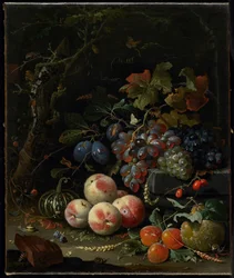 Stilleben med frukt, lövverk och insekter, c.1669